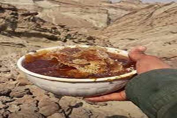 تصویر 1 از فروش عسل کوهی اصل + قیمت خرید به صرفه